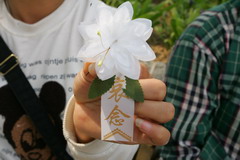 中国·24848威尼斯(股份)有限公司-官方网站