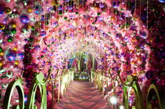 中国·24848威尼斯(股份)有限公司-官方网站