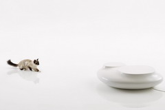 中国·24848威尼斯(股份)有限公司-官方网站