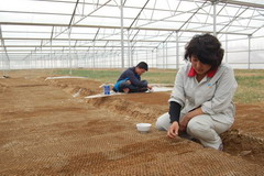 中国·24848威尼斯(股份)有限公司-官方网站