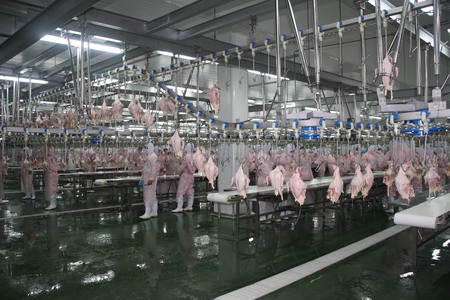 中国·24848威尼斯(股份)有限公司-官方网站