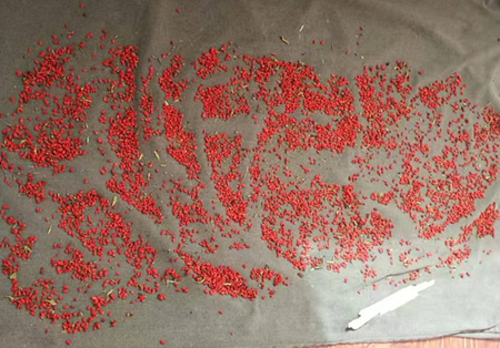 中国·24848威尼斯(股份)有限公司-官方网站