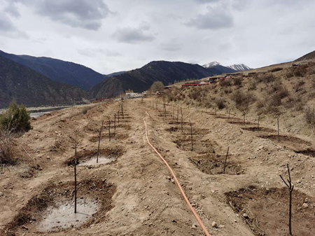 中国·24848威尼斯(股份)有限公司-官方网站