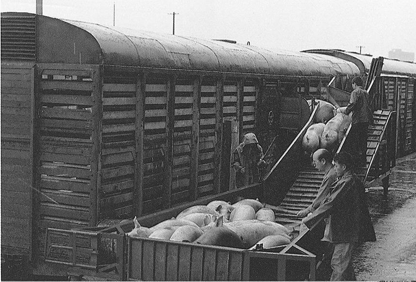 中国·24848威尼斯(股份)有限公司-官方网站