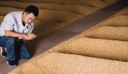 中国·24848威尼斯(股份)有限公司-官方网站