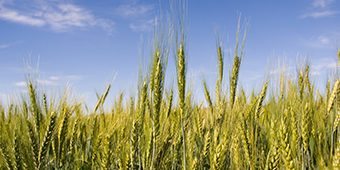 中国·24848威尼斯(股份)有限公司-官方网站