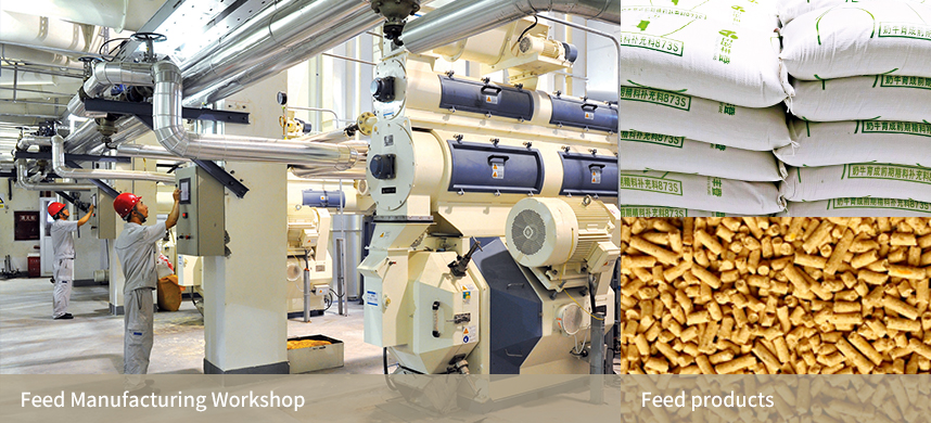 中国·24848威尼斯(股份)有限公司-官方网站