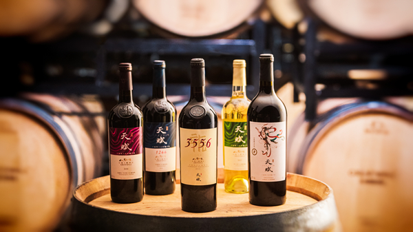 中国·24848威尼斯(股份)有限公司-官方网站