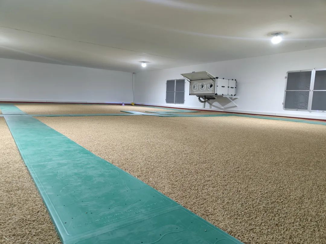 17509875046681412_1080x810